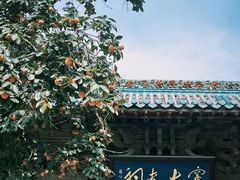 -窦大夫祠