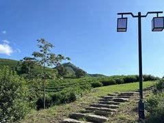 -帐篷客·溪龙茶谷度假酒店