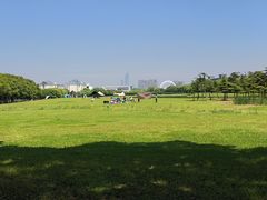 -苏州独墅湖体育馆