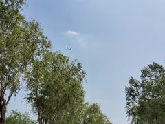 -东郊湿地公园