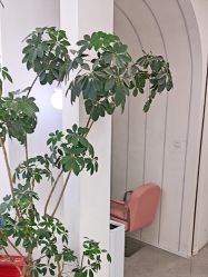 -小阿福儿童摄影(摩尔城店)