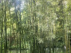 -成都杜甫草堂博物馆