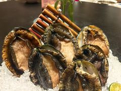 -海月轩海鲜豆捞(紫金塔店)