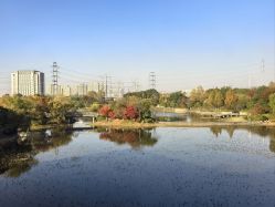 -雅馨国际月子中心