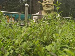 -长春市南湖公园