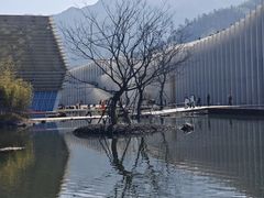 -中国宣纸文化园