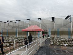 -长洲岛都市农业公园