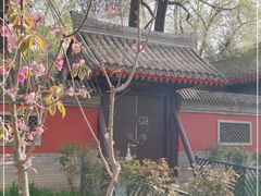 -元大都城垣遗址公园