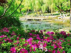 -范蠡湖公园
