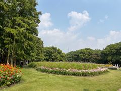 -上海共青森林公园