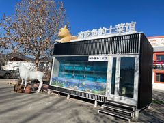 -向外鱼乐·土菜·虹鳟鱼