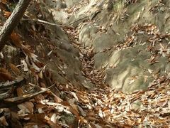android_upload_pic-沣峪森林公园龙潭戏水景区