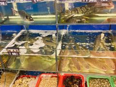 水产区-渔中舟海鲜大排档(普陀沈家门店)