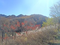 -玉渡山自然风景区