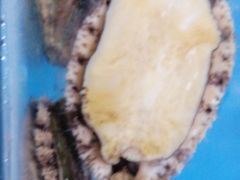 -宾朋海鲜特色美食餐厅·纯手工鲅鱼水饺(兴海路店)