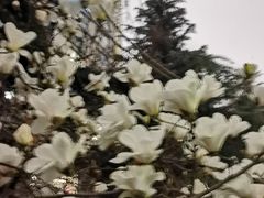 -木塔寺遗址生态公园