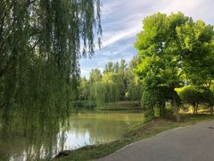 -东郊湿地公园