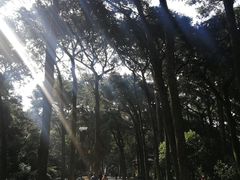 -昆明市金殿名胜区