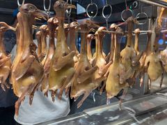 -三强鸽子(中原路店)