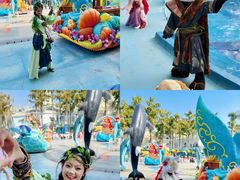 -海合安成都极地海洋公园