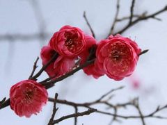 -杭州六谷生态休闲农庄有限公司