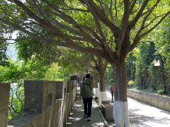 -白帝城·瞿塘峡景区
