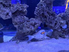 -上和臻品中国菜(花园街店)