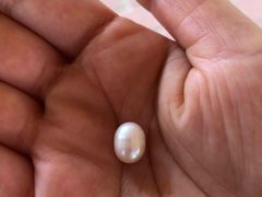 -北海金海湾红树林生态旅游区