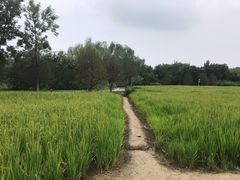 -北坞公园