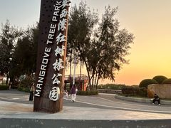 -宝安西湾红树林湿地公园