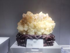 -湖南省地质博物馆