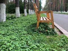 -黑龙江省森林植物园