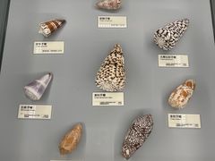 -天津古林古海岸遗迹博物馆