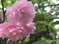 -石峰公园