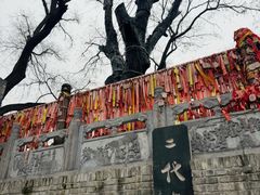 -大槐树寻根祭祖园