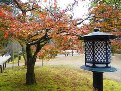 -醍醐寺