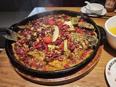 -老板恋上鱼(恒隆广场店)