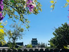 -丽江庭院·云南野生菌·海鲜火锅(鼓楼四合院店)