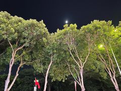 -达美乐比萨(留仙大道店)