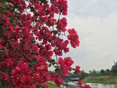 -府河摄影公园