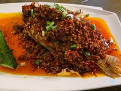 -胖大姐黄辣丁鱼庄(新津店)