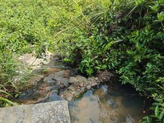 -水濂山森林公园