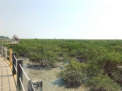 -北海金海湾红树林生态旅游区