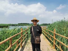 -白渔泡湿地公园