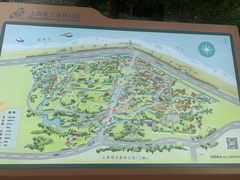 -上海滨江森林公园
