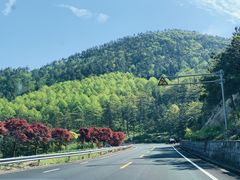 -四明山国家森林公园
