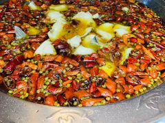 -雲蜀龙阁·金牌水煮鱼(方庄店)