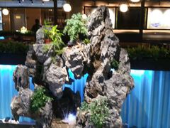 -东椰·海南椰子鸡火锅(朝阳门店)