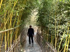 -竹子庵公园