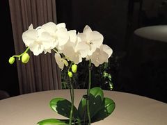 -蘇锦宴·淮扬菜烤鸭·小院(三元桥霄云路店)